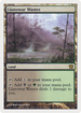 Llanowar Wastes (9ED-322) - 9th Edition Foil