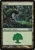 Forest (249) (M12-249) - Magic 2012 Foil