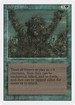 Living Lands (3ED-) - Revised Edition