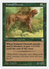 Trained Cheetah (PTK-155) - Portal Three Kingdoms