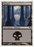 Swamp (French) - "Marais" (A11) (PSAL-A11) - Salvat 2005
