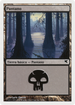 Swamp (French) - "Marais" (A11) (PSAL-A11) - Salvat 2005