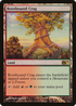 Rootbound Crag (M11-227) - Magic 2011