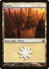 Plains (250) (RTR-250) - Return to Ravnica