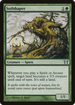 Soilshaper (CHK-243) - Champions of Kamigawa Foil