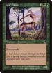 Leaf Dancer (ODY-249) - Odyssey