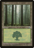 Forest (Ferns on Ground) (POR-) - Portal