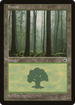 Forest (Ferns on Ground) (POR-) - Portal
