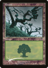 Forest (331) (7ED-331) - 7th Edition
