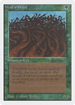 Wall of Wood (2ED-) - Unlimited Edition