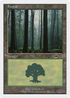 Forest (90) (BTD-090) - Beatdown Box Set
