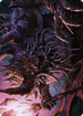 Dream Devourer // Dream Devourer (ASKHM-023) - Art Series: Kaldheim (Borderless) Foil