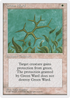 Green Ward (4ED-) - Fourth Edition