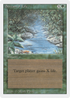Stream of Life (3ED-) - Revised Edition