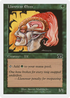 Llanowar Elves (6ED-239) - Classic Sixth Edition