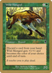 Wild Mongrel - 2002 Sim Han How (ODY) (WCD-) - World Championship Decks 2002