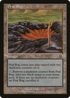 Peat Bog (MMQ-322) - Mercadian Masques Foil