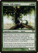 Iname, Life Aspect (CHK-215) - Champions of Kamigawa