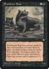 Pestilence Rats (ICE-) - Ice Age