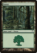 Forest (305) (CHK-305) - Champions of Kamigawa