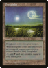 Everglades (VIS-) - Visions