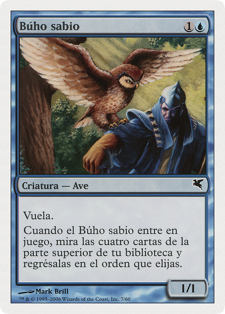 Sage Owl (Spanish) - 