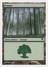 Forest (Spanish) - "Bosque" (B11) (PSAL-B11) - Salvat 2005