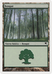 Forest (Spanish) - "Bosque" (B11) (PSAL-B11) - Salvat 2005