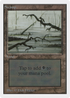 Swamp (C) (2ED-) - Unlimited Edition