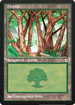Forest (ANA-034) - Arena New Player Experience