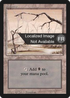 Swamp (B) (FBB-301) - Foreign Black Border