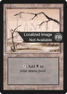 Swamp (B) (FBB-301) - Foreign Black Border
