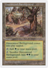 Havenwood Battleground (5ED-) - Fifth Edition