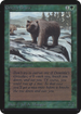 Grizzly Bears (LEA-) - Limited Edition Alpha