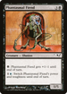 Phantasmal Fiend (CTD-57A) - Coldsnap Theme Decks