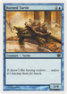 Horned Turtle (9ED-081) - 9th Edition Foil
