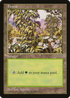 Forest (White Flowers Right) (MIR-) - Mirage