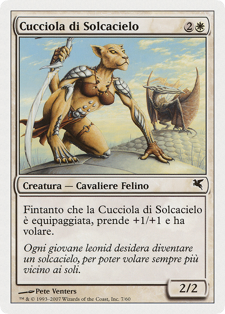 Skyhunter Cub (Italian) - 