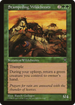 Stampeding Wildebeests (VIS-) - Visions
