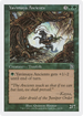 Yavimaya Ancients (31b) (DKM-31B) - Deckmasters