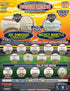 2024 Tristar Dugout Dreams Mystery Autographed Baseball