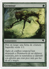 Sprout (French) - "Bourgeonnement" (J41) (PSAL-J41) - Salvat 2005