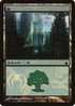 Forest (The Golgari Swarm) (PREM-303) - Magic Premiere Shop 2005 Foil