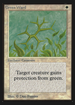 Green Ward (CE) (CED-) - Collectors' Edition