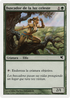 Seeker of Skybreak (Spanish) - "Buscador de la luz celeste" (B29) (PSAL-B29) - Salvat 2005