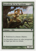 Seeker of Skybreak (Spanish) - "Buscador de la luz celeste" (B29) (PSAL-B29) - Salvat 2005