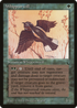 Whippoorwill (DRK-) - The Dark