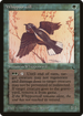 Whippoorwill (DRK-) - The Dark