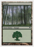 Forest (Spanish) - "Bosque" (B22) (PSAL-B22) - Salvat 2005