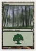 Forest (Spanish) - "Bosque" (B22) (PSAL-B22) - Salvat 2005